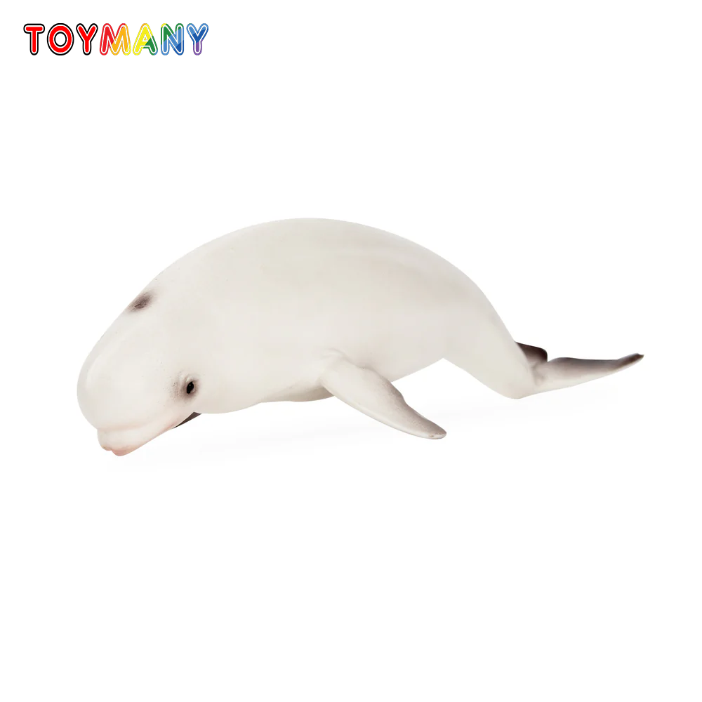 Toymany simulación Beluga ball - Kids Toys Under $5 reseña y precio