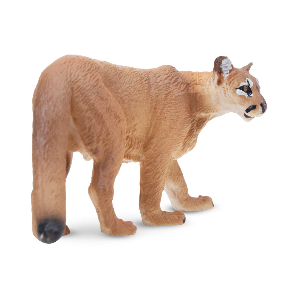 Toymany simulación Cougar vida - Kids Toys Under $5 reseña y precio