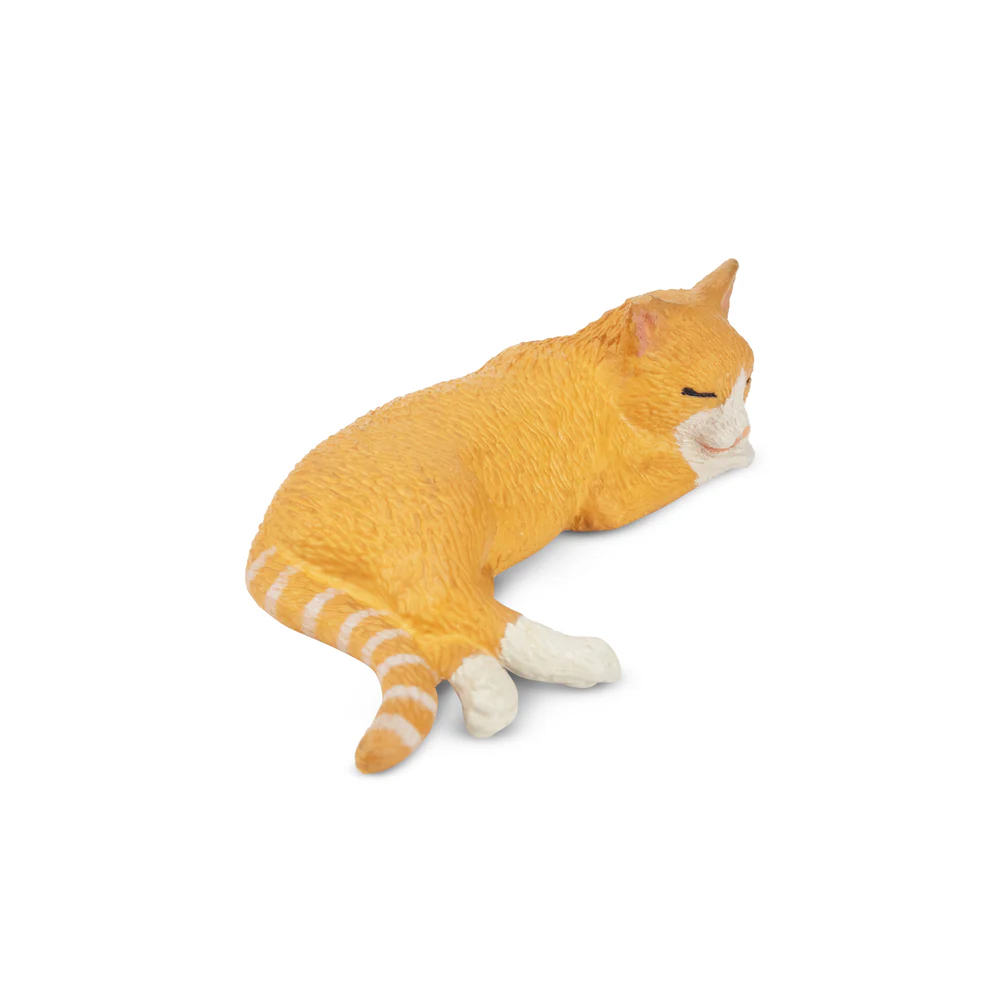Toymany simulación de gato nar - Kids Toys Under $5 reseña y precio